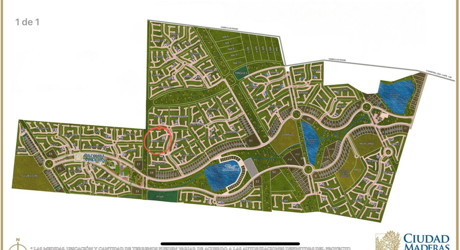 IMG-20240407-WA000412