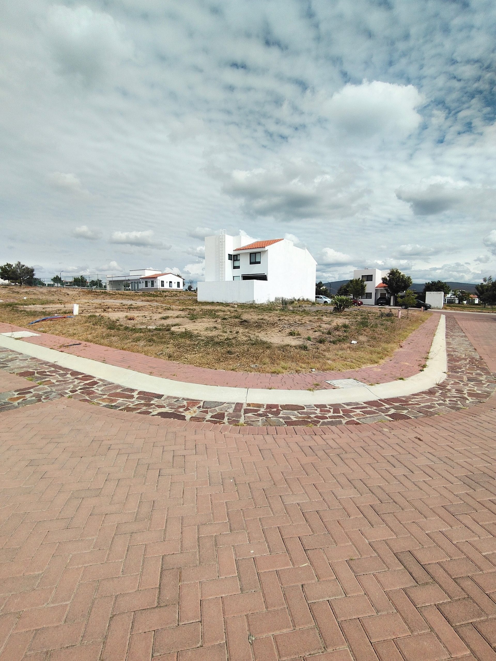 IMG202512071307492-1