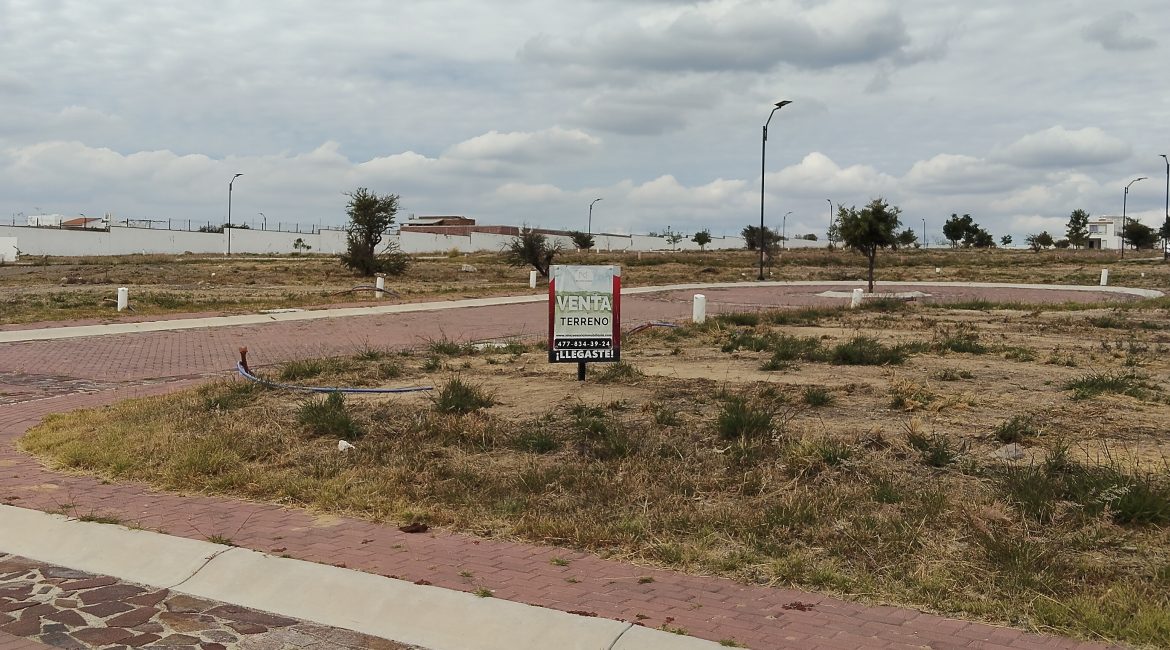 Terreno Ciudad Maderas-Flamaboyan